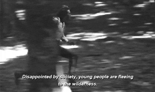 Disappointed by society, young people are fleeing to the wilderness.
